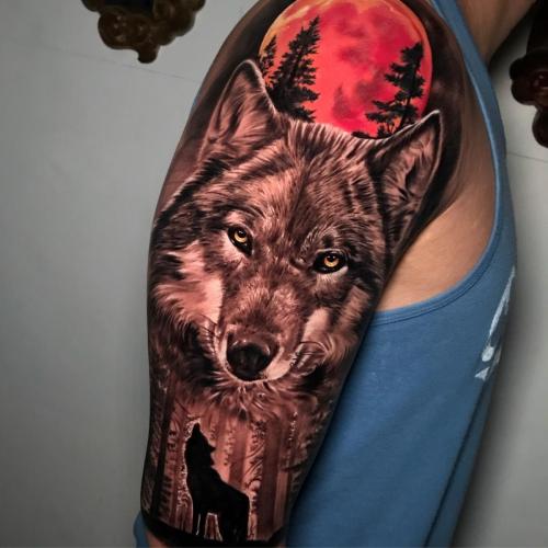 Wolf